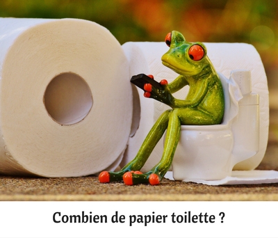 https://www.aeh-33.fr/wp-content/uploads/2023/10/Combien-de-papier-toilette-.jpg